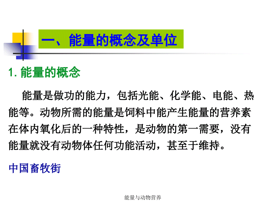 能量与动物营养课件_第4页