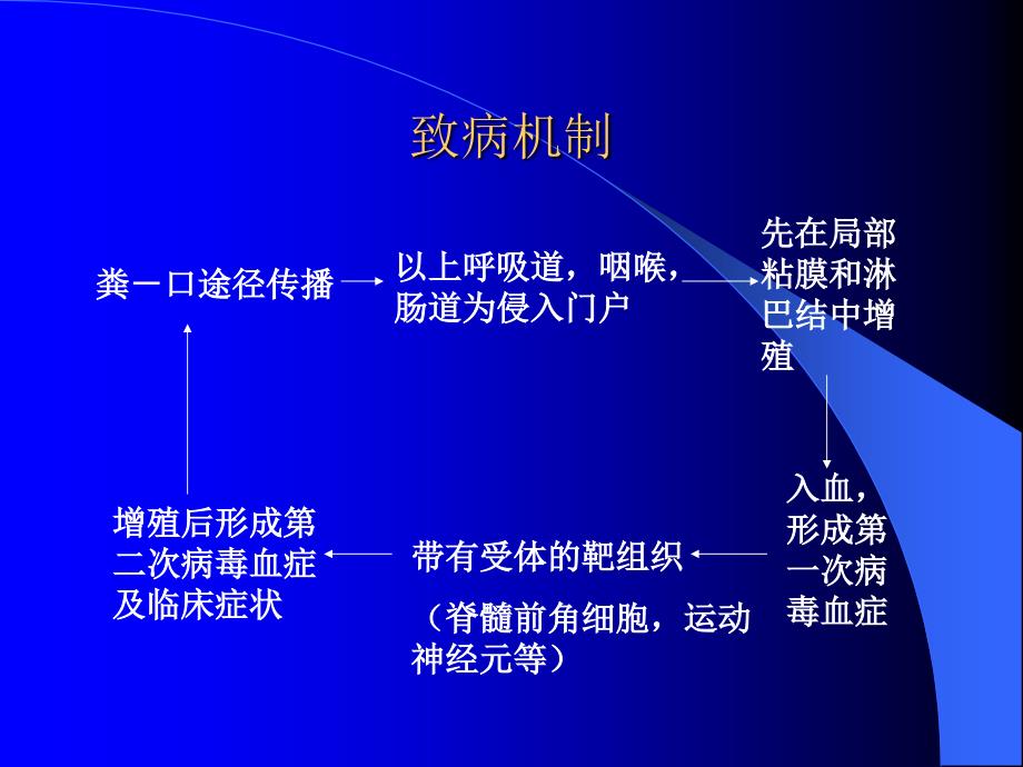 肠道病毒enterovirus_第4页