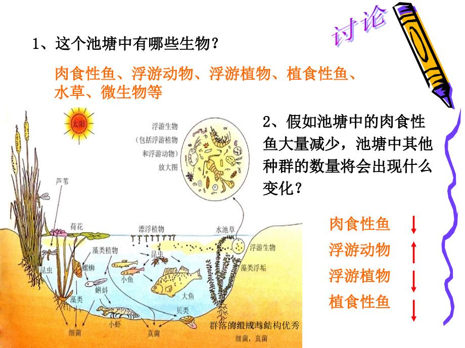 群落的组成与结构课件_第3页