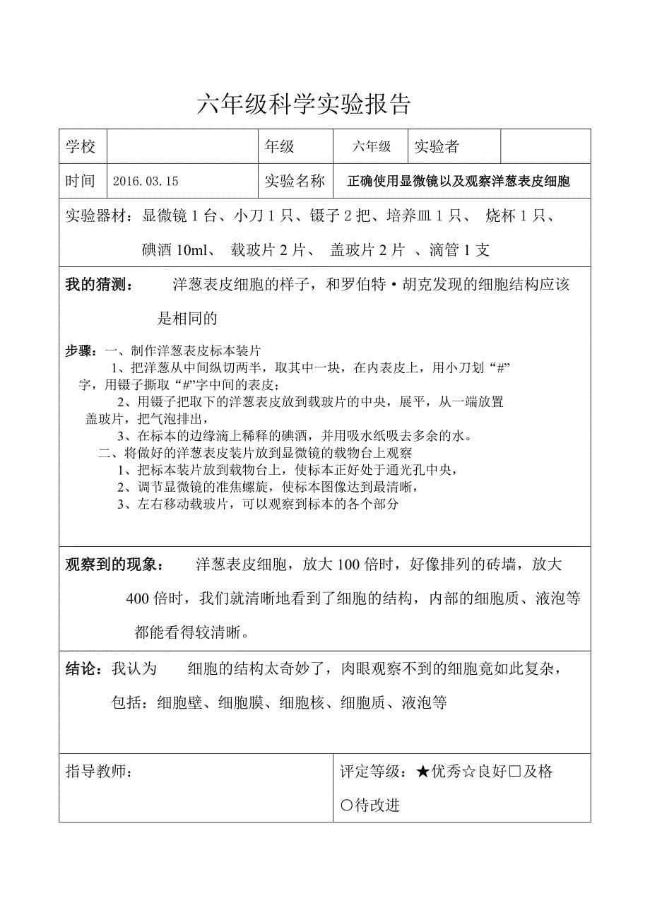 教科版六年级科学下册实验报告单(全)_第5页