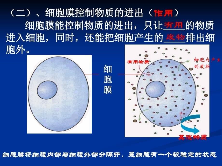 细胞的生活PPT课件2_第5页