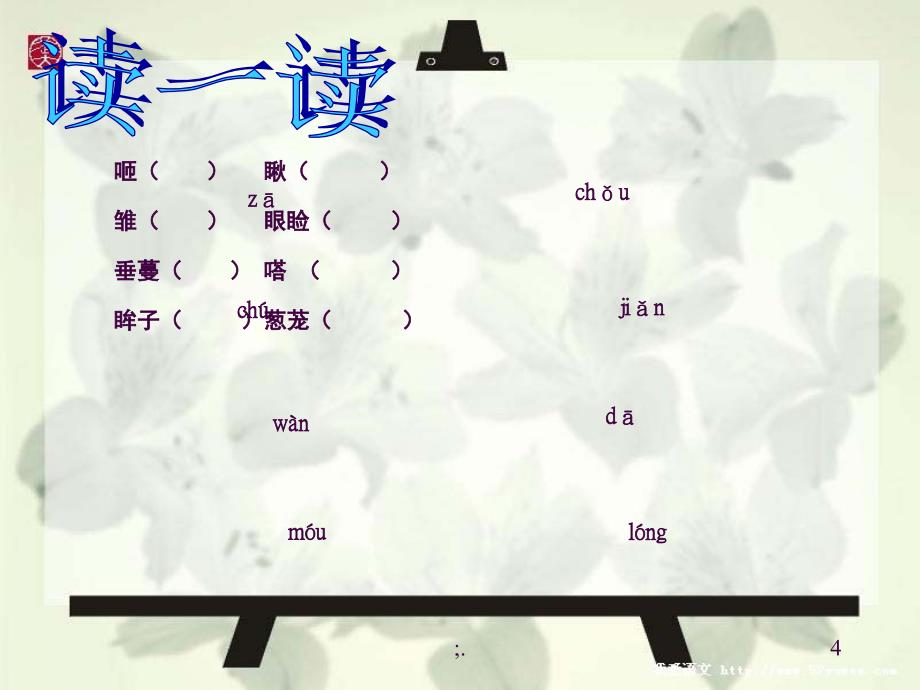 珍珠鸟2ppt课件_第4页