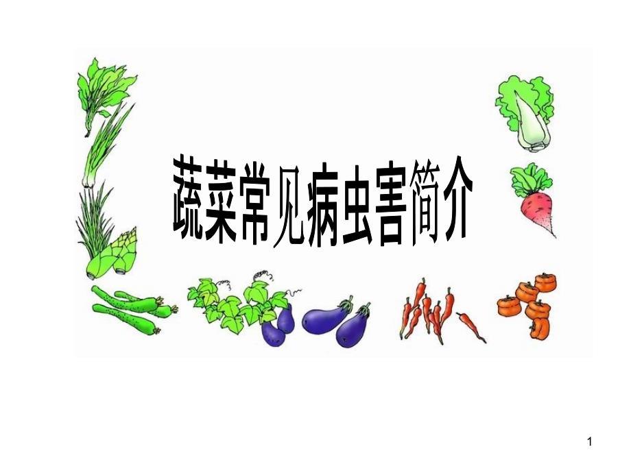 常见蔬菜病虫害介绍及防治-(精)PPT优秀课件_第1页