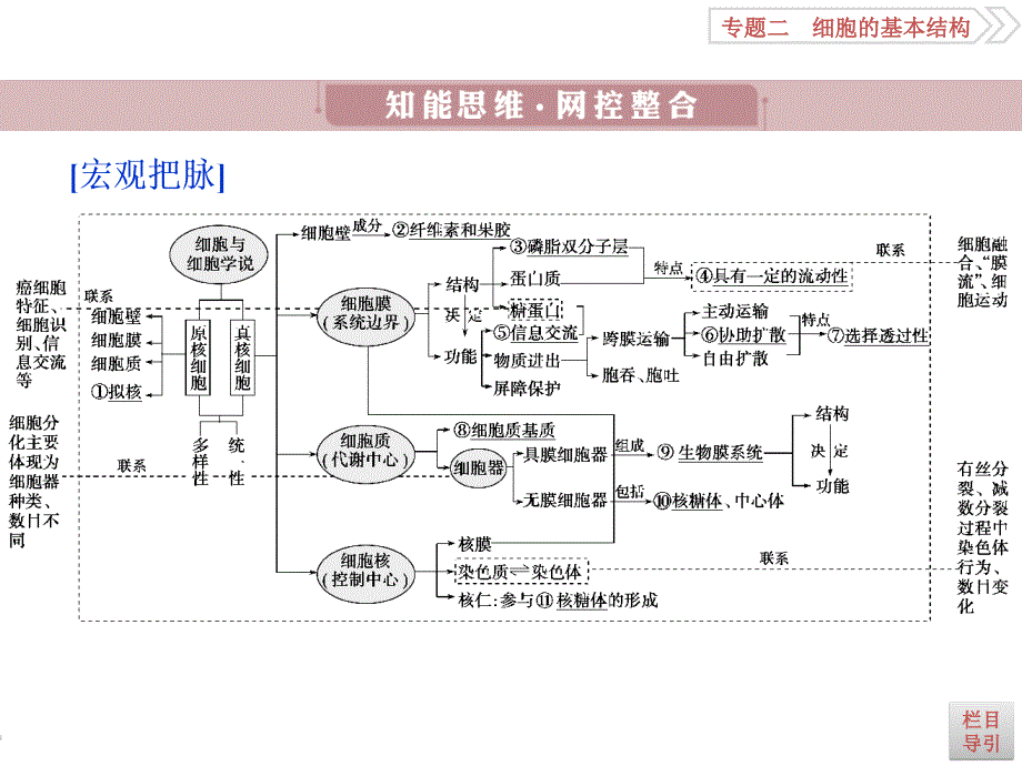 生物第二轮复习第1部分专题二_第3页