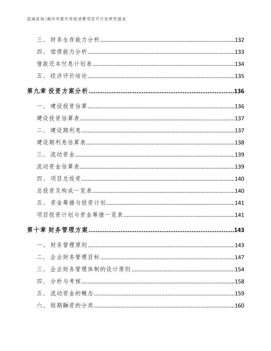 湖州市提升传统消费项目可行性研究报告_范文参考_第5页