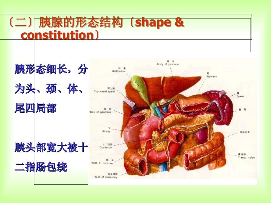 急性坏死性胰腺炎患者的护理_第4页