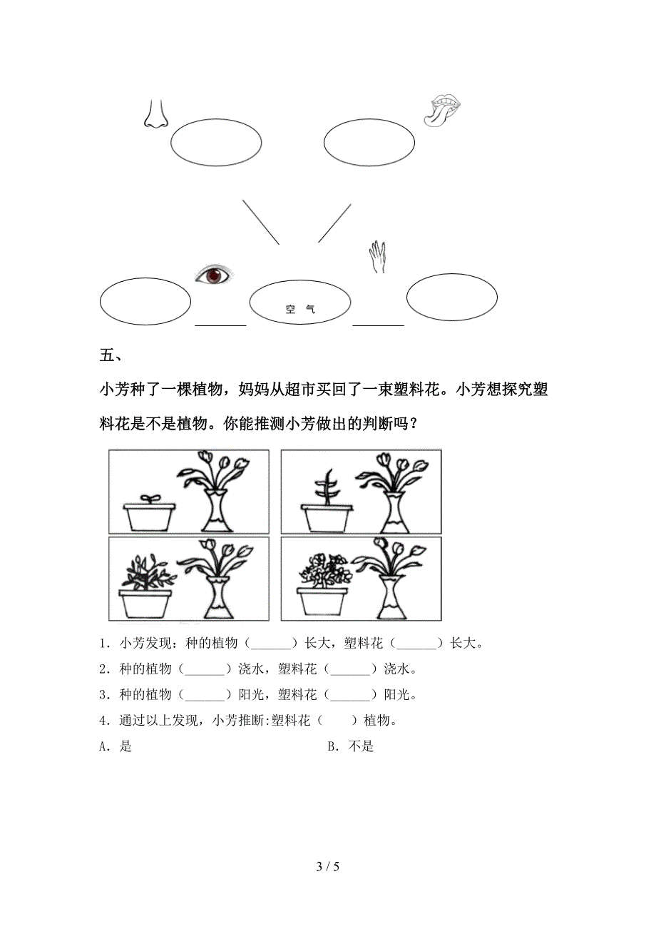 最新教科版一年级科学上册期中考试题【及参考答案】.doc_第3页