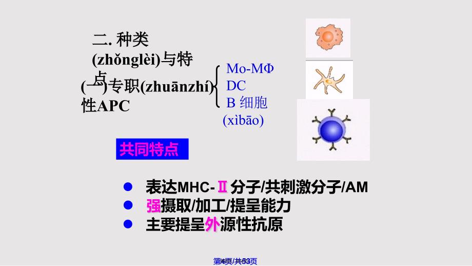 APC与抗原处理及提呈实用教案_第4页