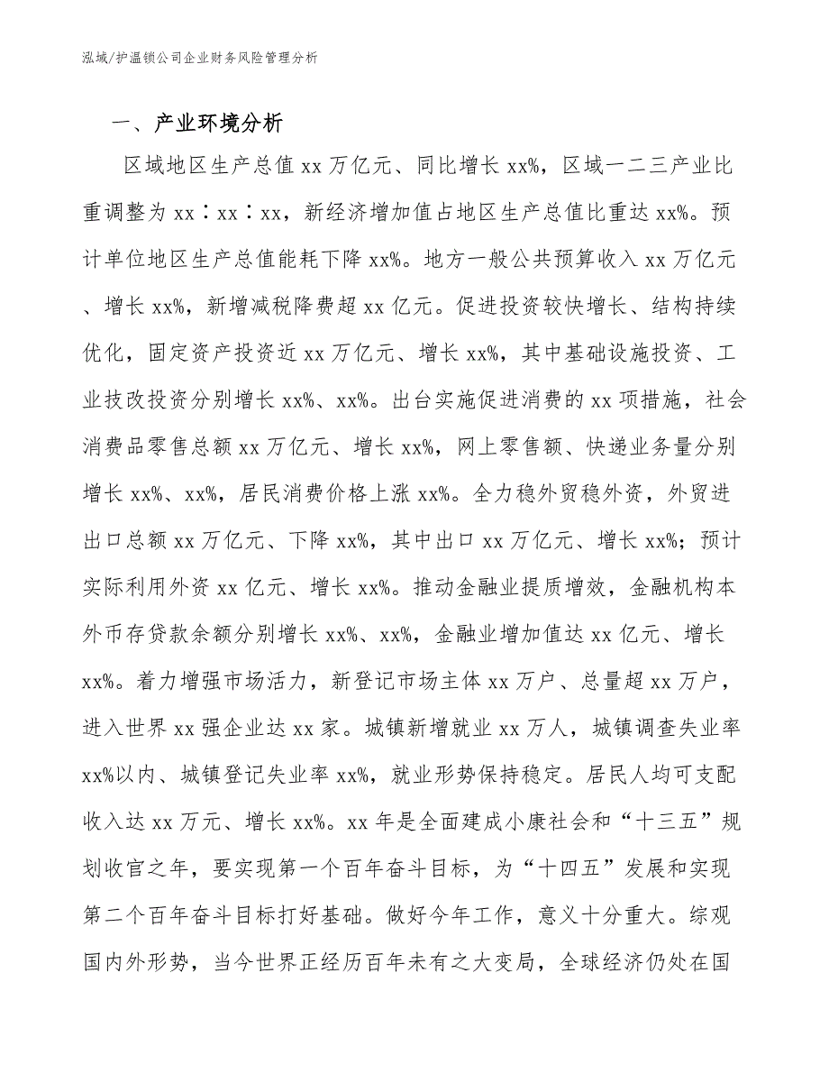 护温锁公司企业财务风险管理分析_第2页