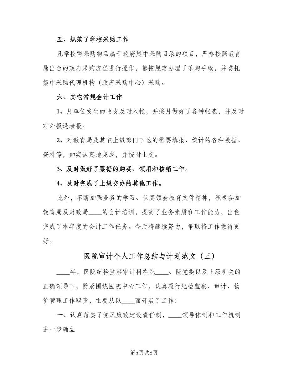 医院审计个人工作总结与计划范文（三篇）.doc_第5页