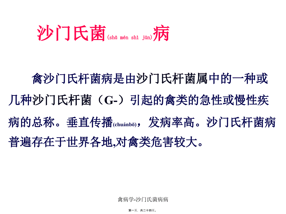 禽病学沙门氏菌病病课件_第1页