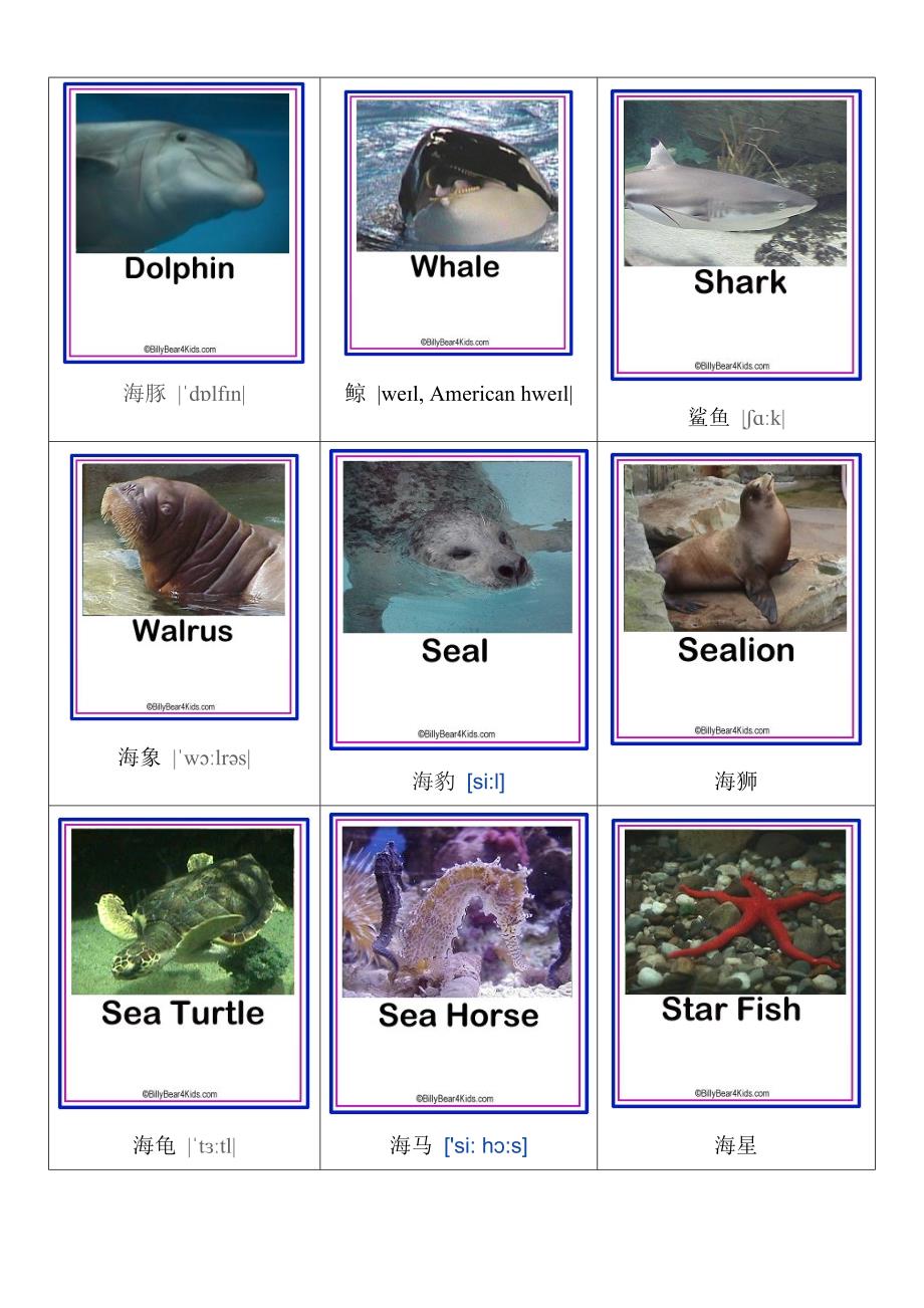 海洋动物英语单词_第1页