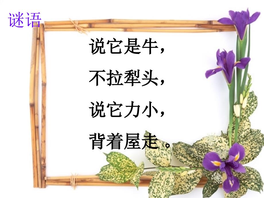 22蜗牛（一）_第1页
