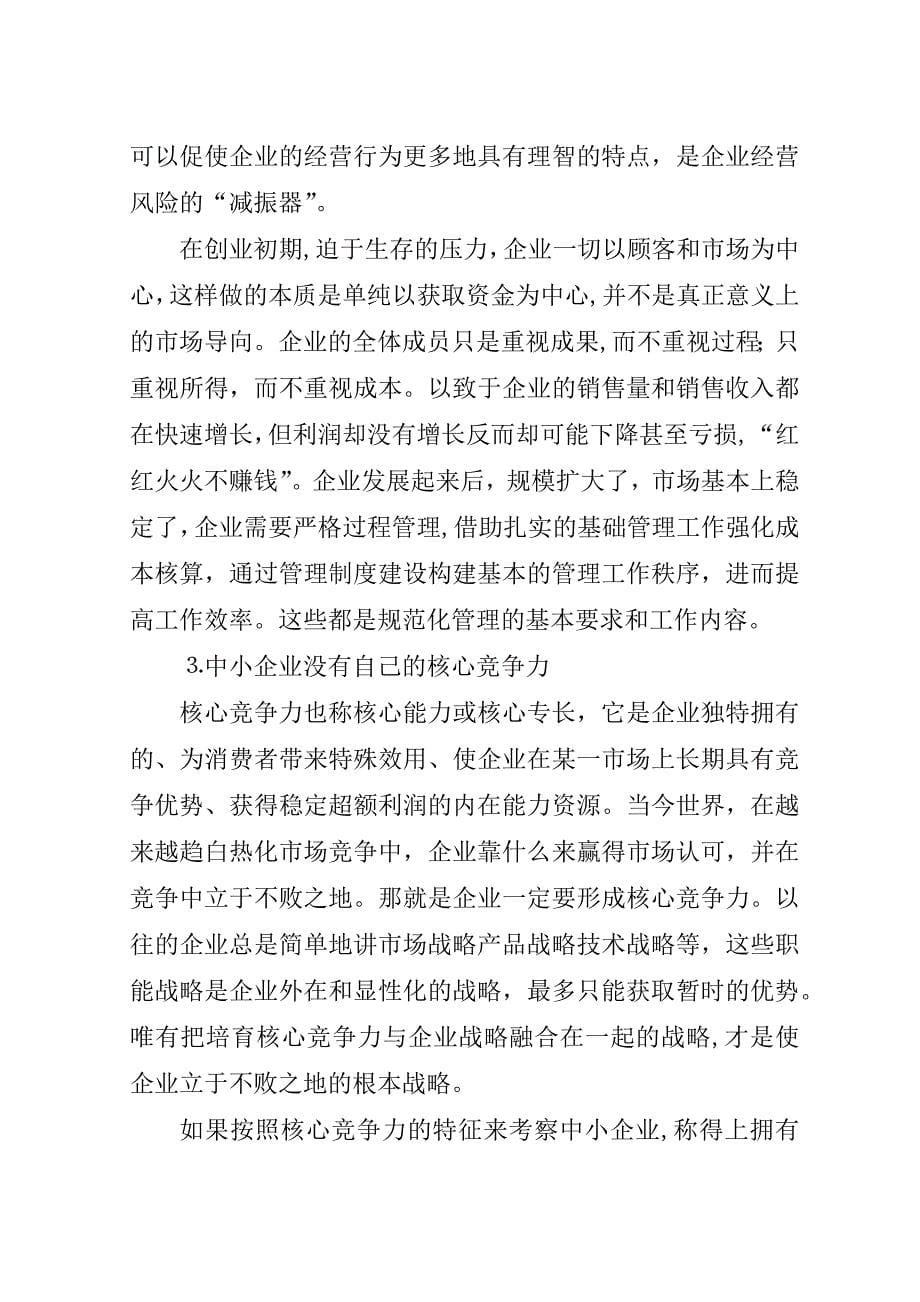 对中小企业获得持续竞争优势的思考.doc_第5页