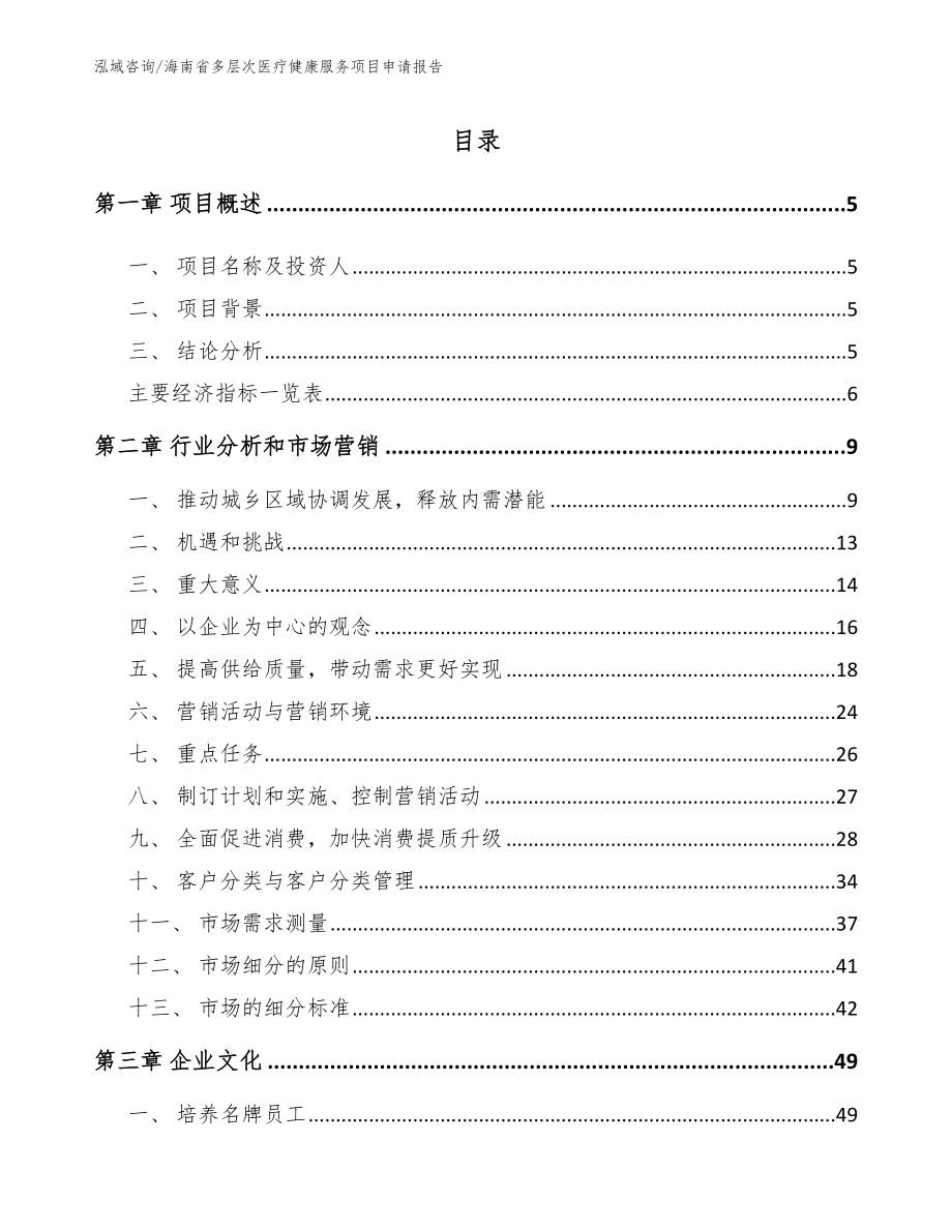 海南省多层次医疗健康服务项目申请报告_第1页