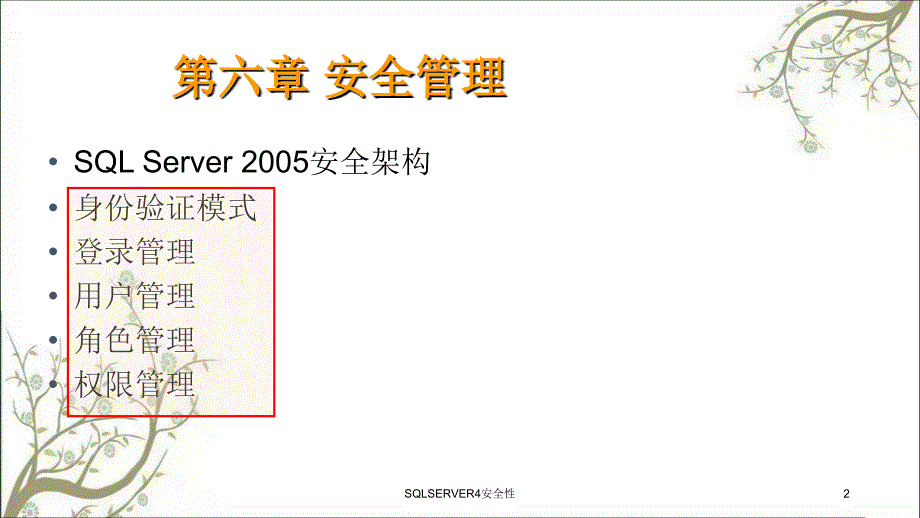 SQLSERVER4安全性PPT课件_第2页