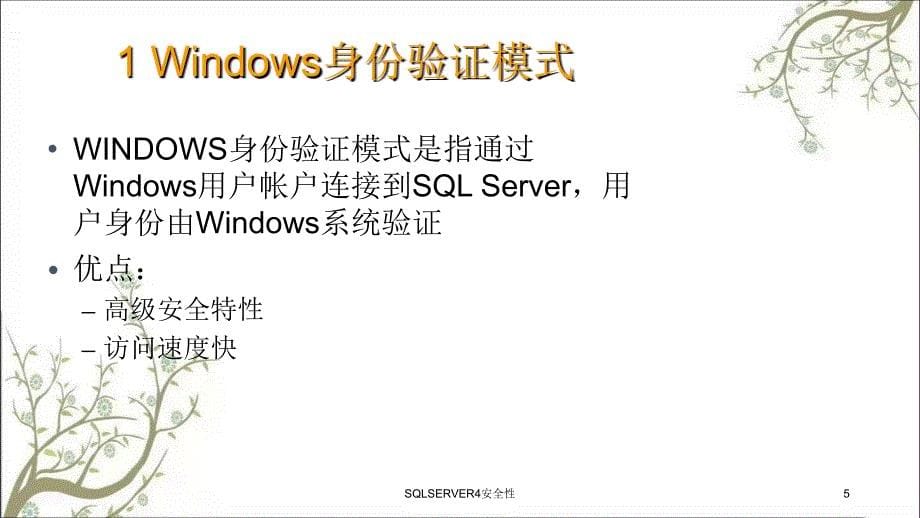 SQLSERVER4安全性PPT课件_第5页