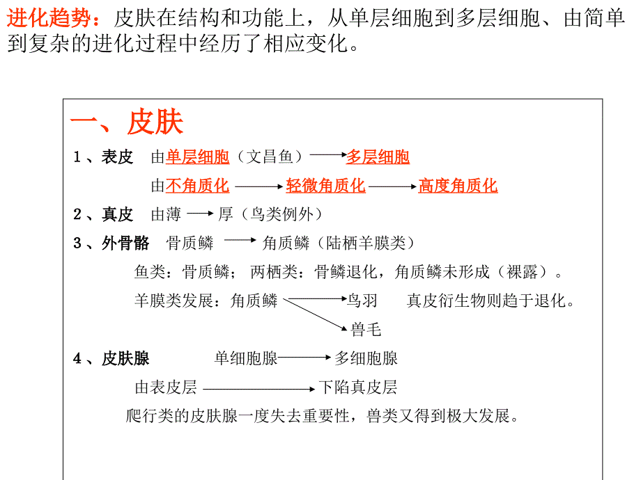 脊椎动物总结_第2页