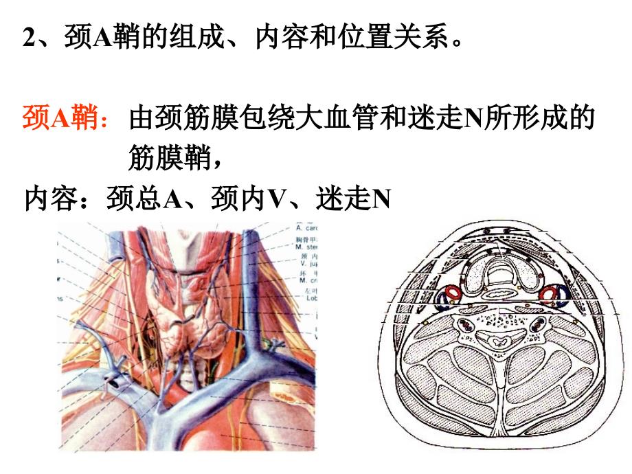 局解实验总结_第4页