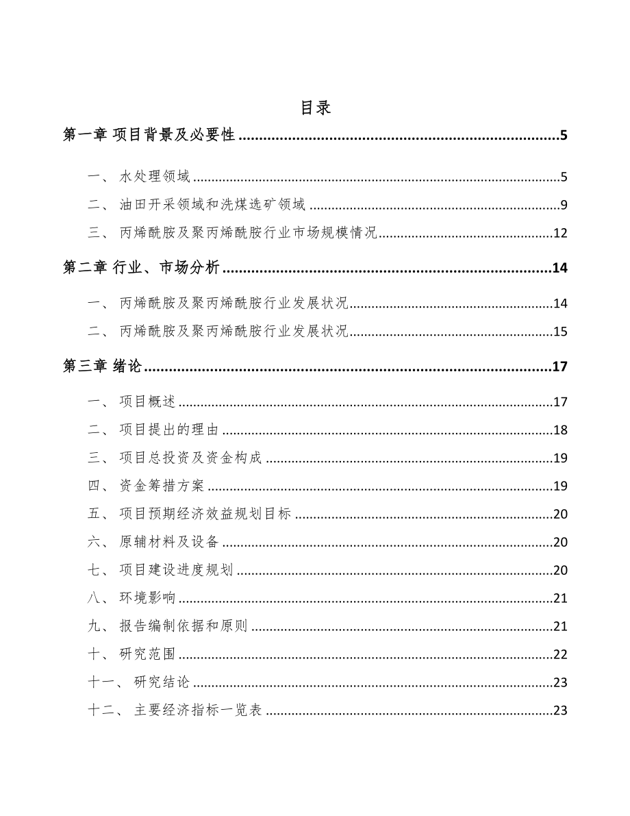 银川丙烯酰胺项目可行性研究报告(DOC 66页)_第2页