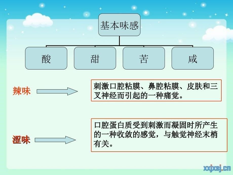 味觉及呈味物质ppt课件_第5页