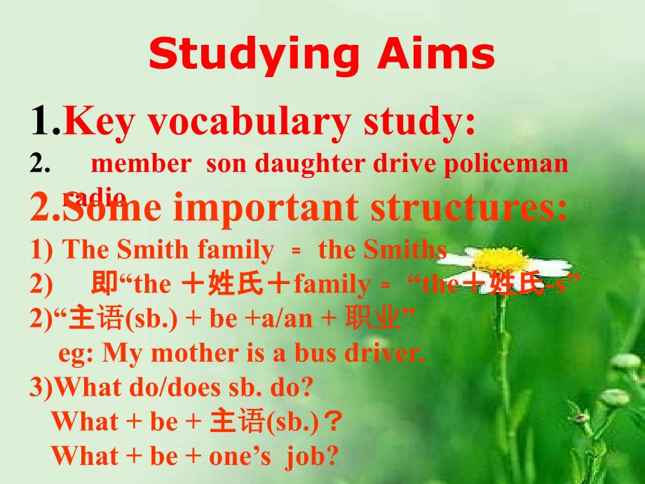 冀教版七年级英语上册Unit5Lesson25JennysFamily共21张PPT_第3页