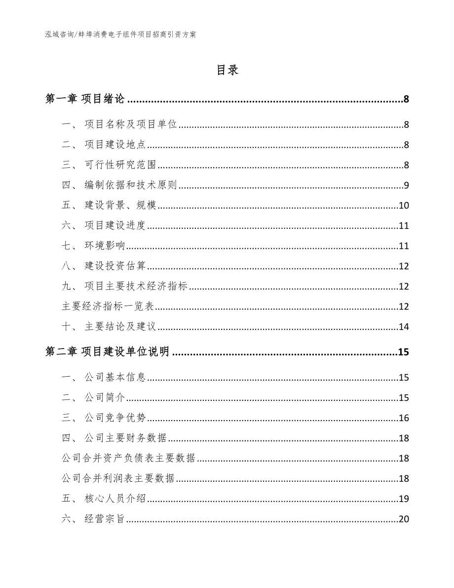 蚌埠消费电子组件项目招商引资方案_模板_第1页