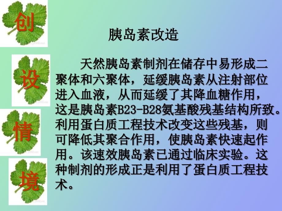 蛋白质工程的崛起讲_第2页