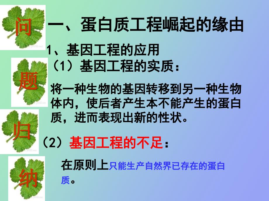 蛋白质工程的崛起讲_第4页