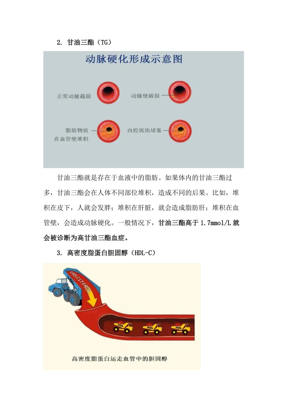 血脂检测指标的意义.docx_第2页