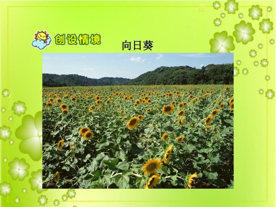 植物妈妈有办法_第5页