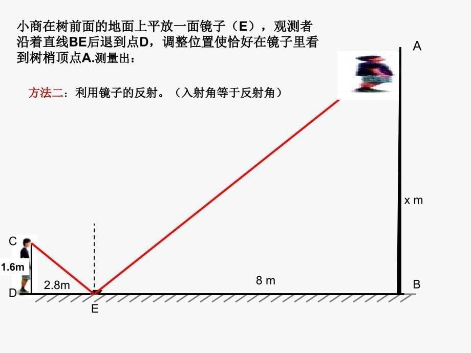 相似三角形的性质极其应用_第5页