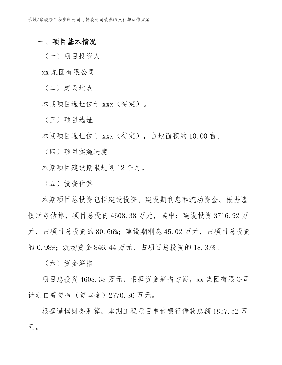 聚酰胺工程塑料公司可转换公司债券的发行与运作方案_第2页