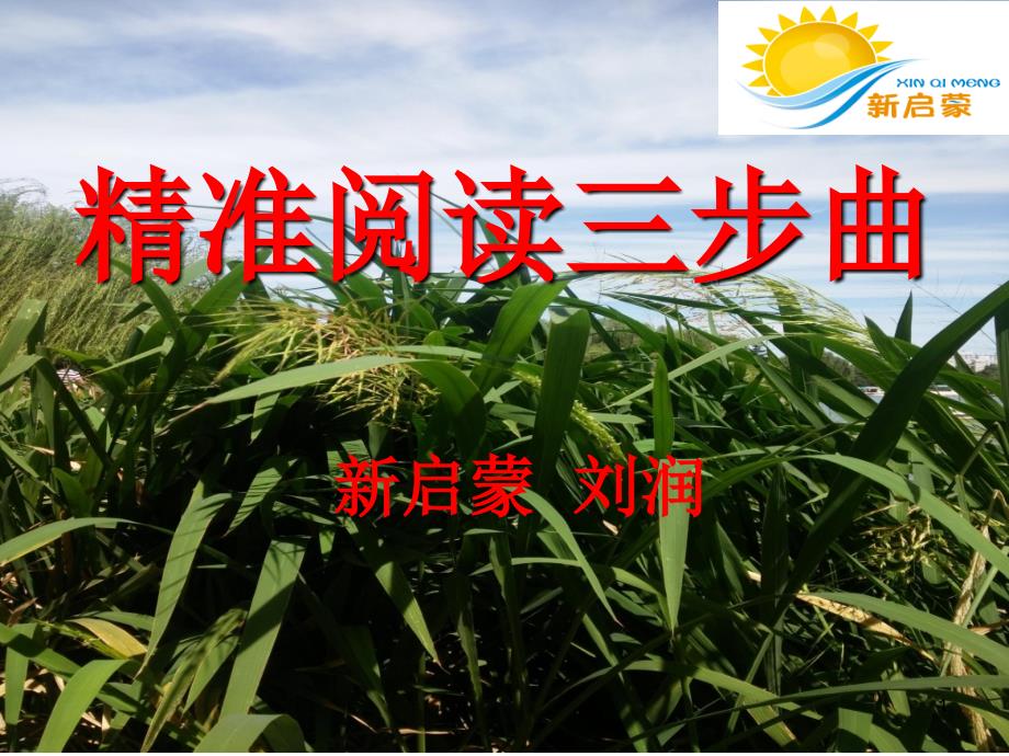 精准阅读三步曲PPT精选文档_第1页