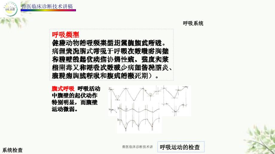 兽医临床诊断技术讲课件_第4页