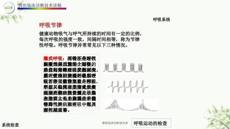 兽医临床诊断技术讲课件_第5页