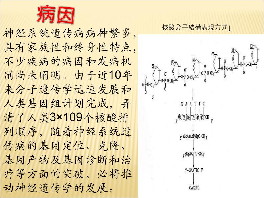 《神经系统遗传病》PPT课件.ppt_第4页