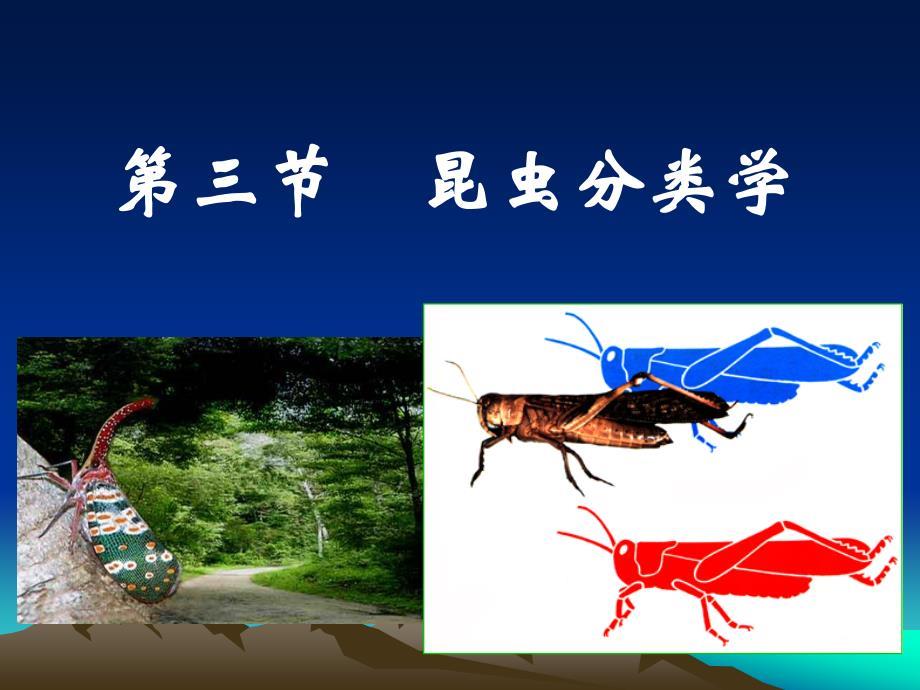 园艺昆虫学（昆虫学通论）：昆虫分类学