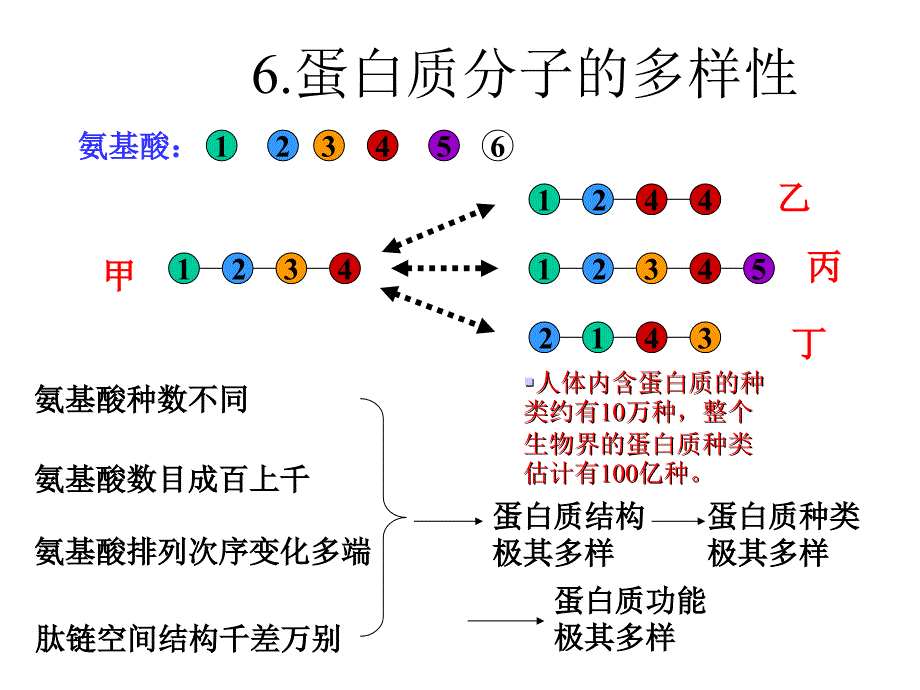 牛胰岛素结构图及相关_第4页