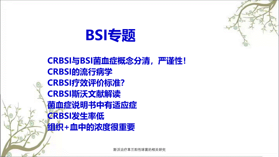 斯沃治疗革兰阳性球菌的相关研究_第2页