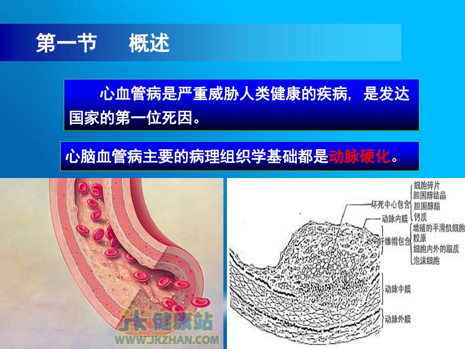 十章心脏疾病的生物化学标志物_第3页