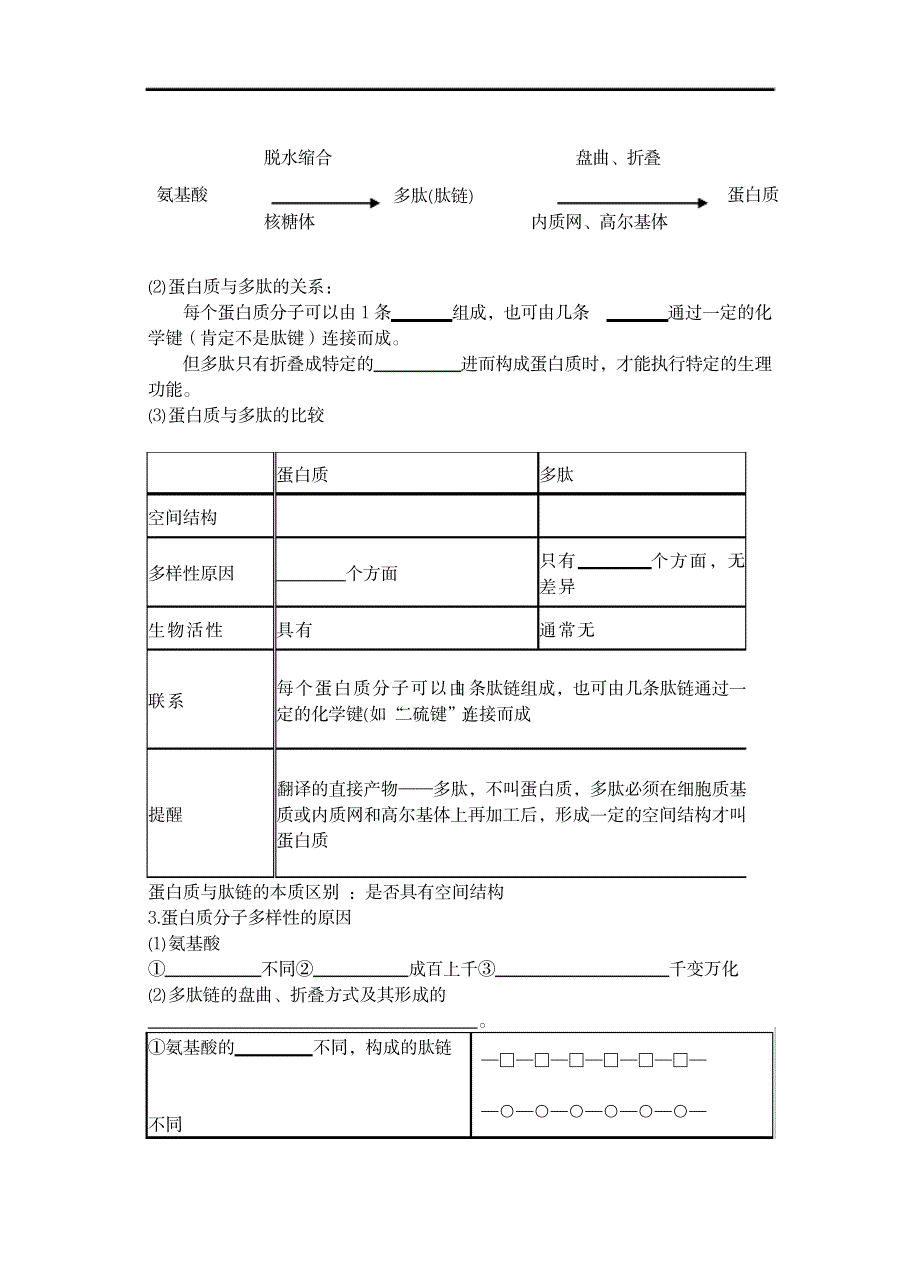 蛋白质知识点_高等教育-生物学_第3页