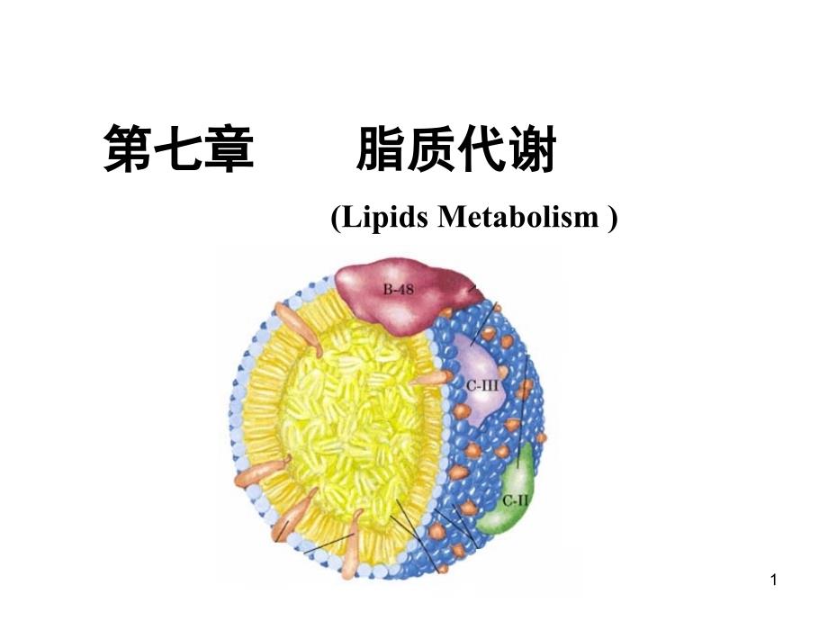 生物化学 脂质代谢_第1页