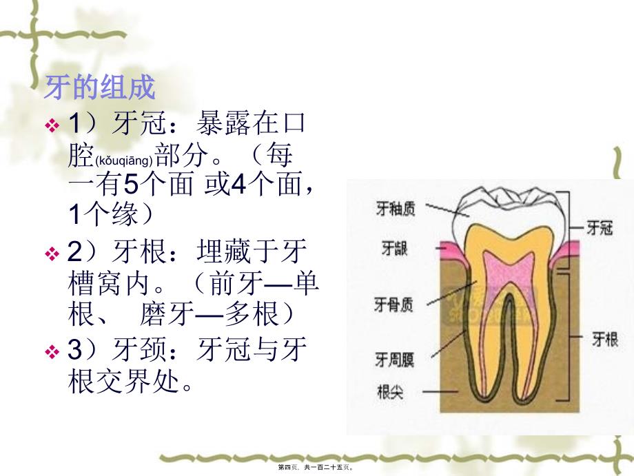 医学专题—儿童口腔7510_第4页