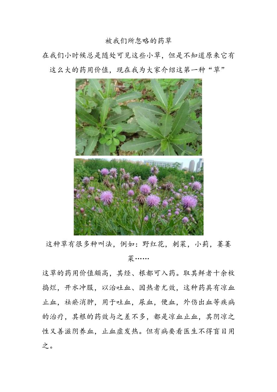 草本植物的药用价值.docx_第1页