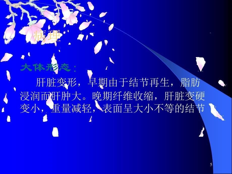 业务学习肝硬化_第5页