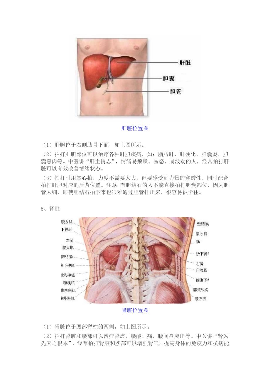 自己拍打穴位治百病.doc_第4页