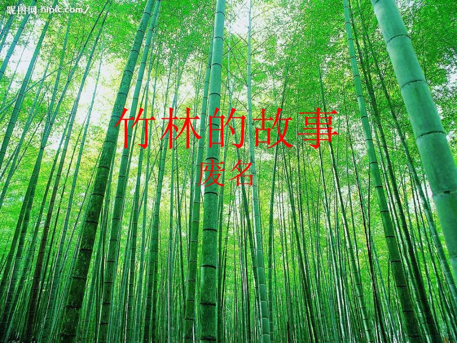 竹林的故事91_第1页