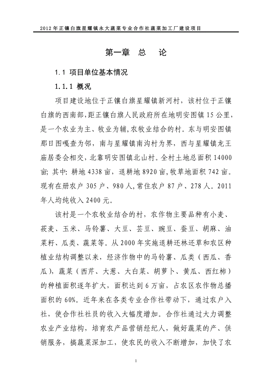 永大村蔬菜加工厂项目可行性研究报告.doc_第1页