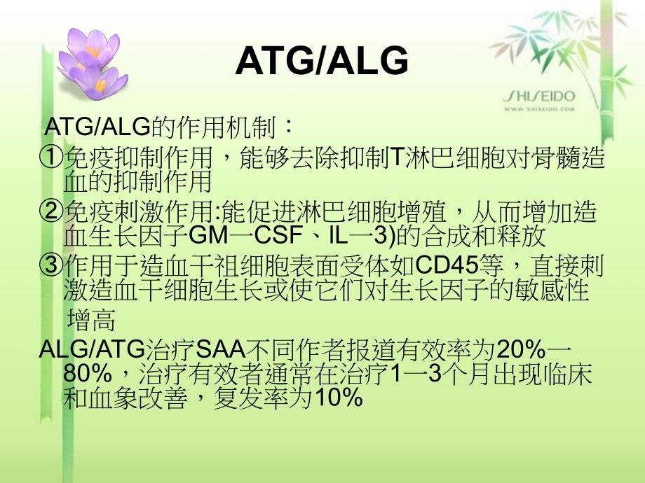 最新再生障碍性贫血治疗的几种药物介绍PPT文档_第2页